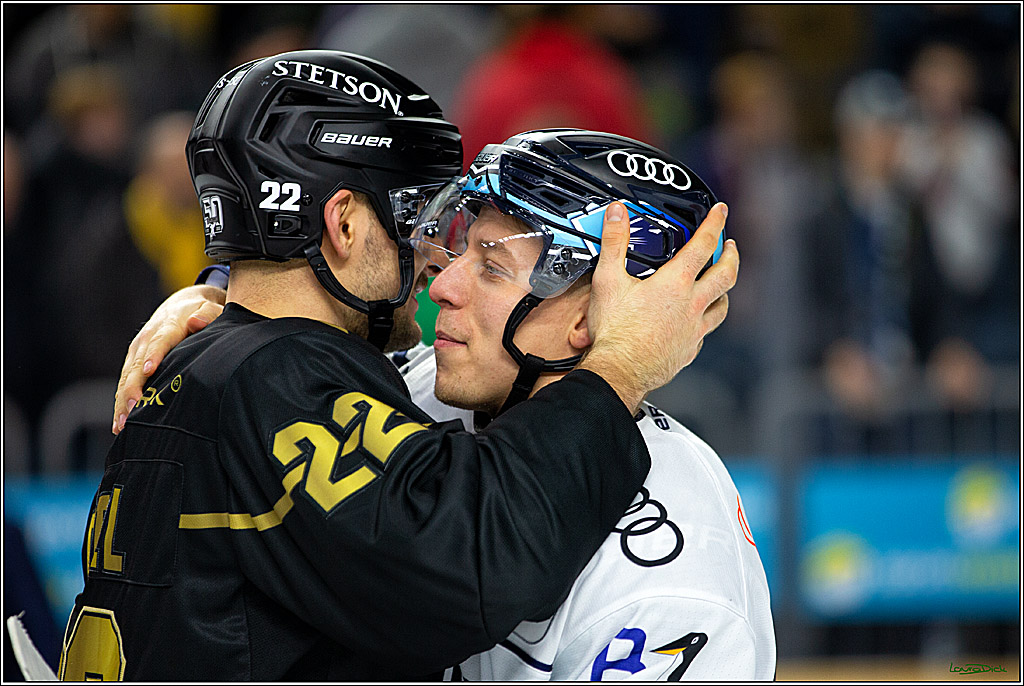 PENNY DEL;  Kölner Haie - ERC Ingolstadt; Köln, 25.11.2022